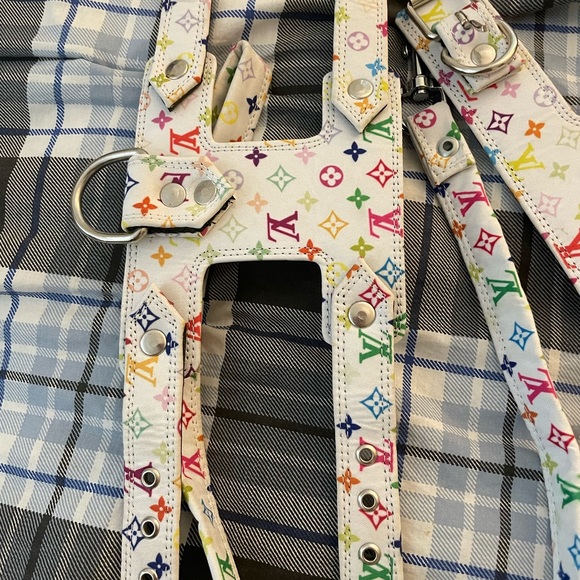 Harness and Leash Set - Picture 2 of 5